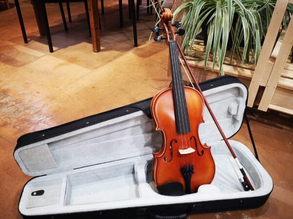 violon avec étui