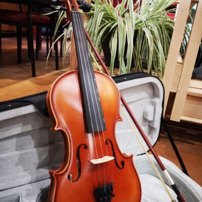 Violon posé dans étui