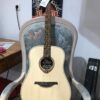 guitare acoustique folk