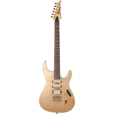 guitare elec ntf