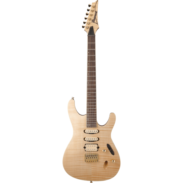 guitare elec ntf