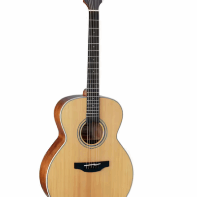 Takamine Gn20-Ns Natural Satin