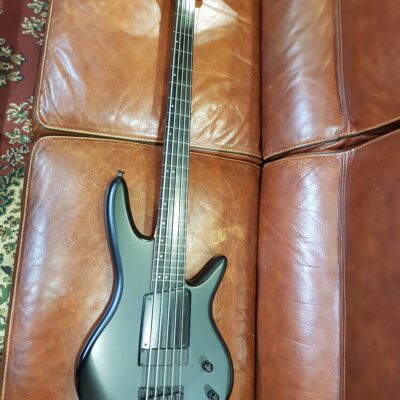 Ibanez GWB35 Fretless Gary Willis Signature